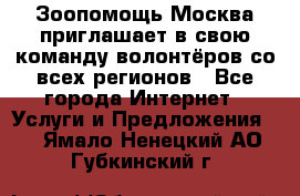 Зоопомощь.Москва приглашает в свою команду волонтёров со всех регионов - Все города Интернет » Услуги и Предложения   . Ямало-Ненецкий АО,Губкинский г.